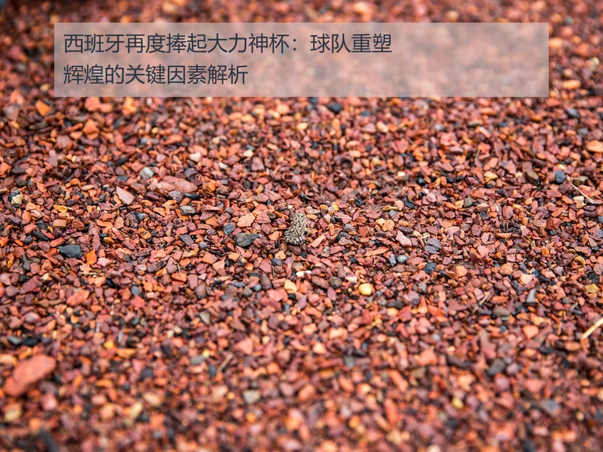 西班牙再度捧起大力神杯:球队重塑辉煌的关键因素解析
